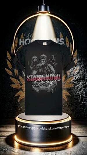 Stadionowi chuligani